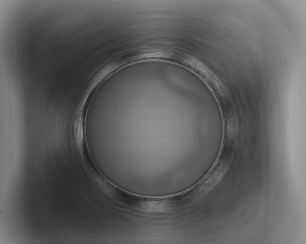 X0000102501274200808081341