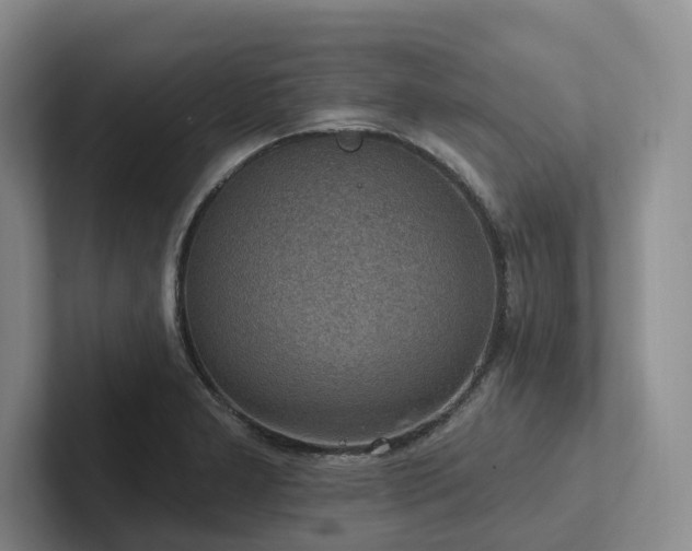 X0000102501277200808081341