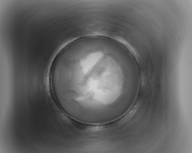 X0000102501278200808081341