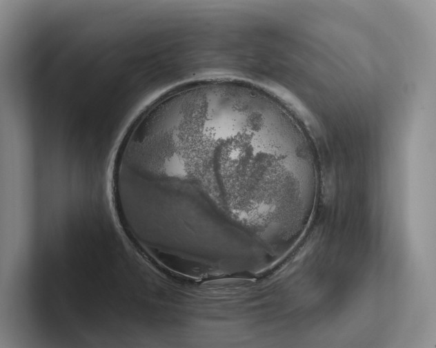 X0000102501279200808081341