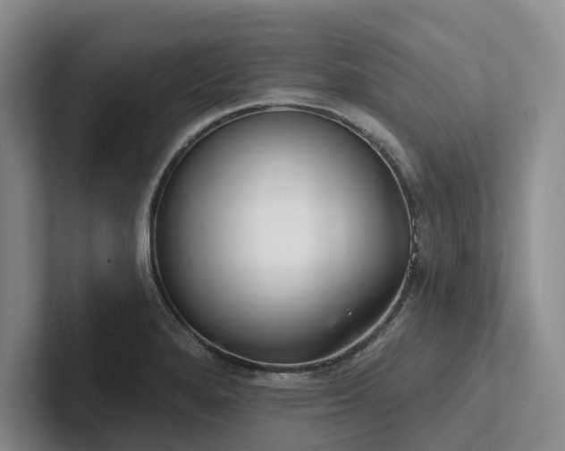 X0000102501280200808081341