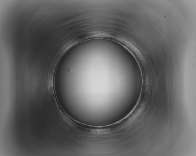 X0000102501281200808081341