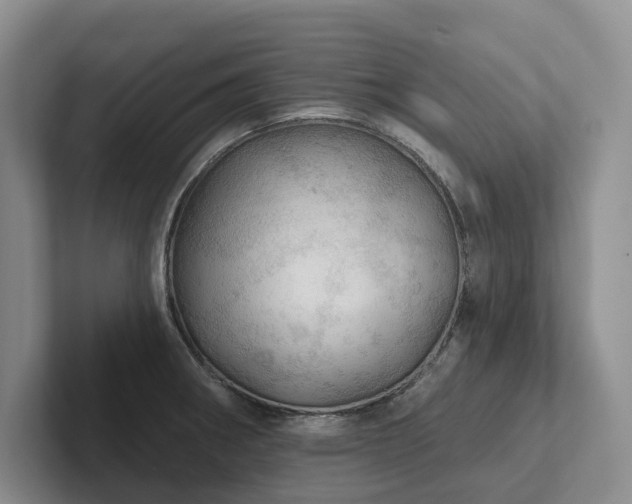 X0000102501282200808081341