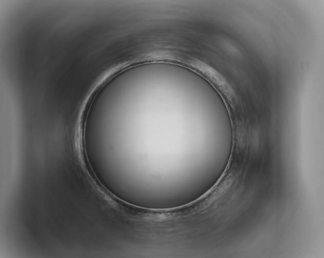 X0000102501286200808081341