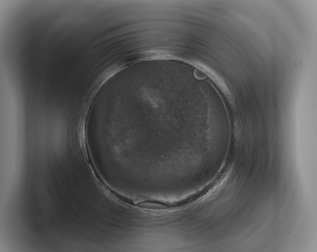 X0000102501289200808081341