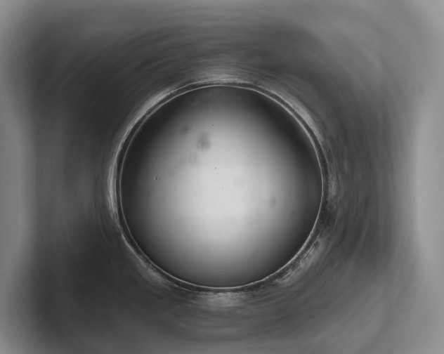 X0000102501293200808081341