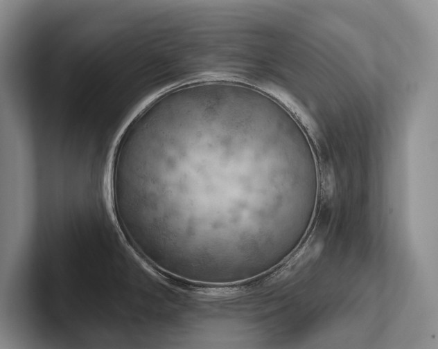 X0000102501294200808081341