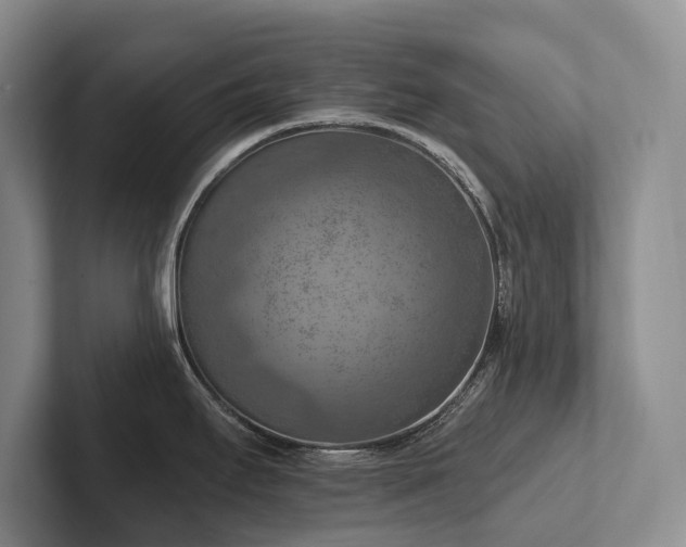 X0000102501295200808081341