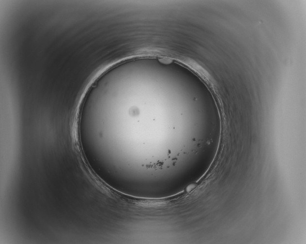 X0000102501296200808081341