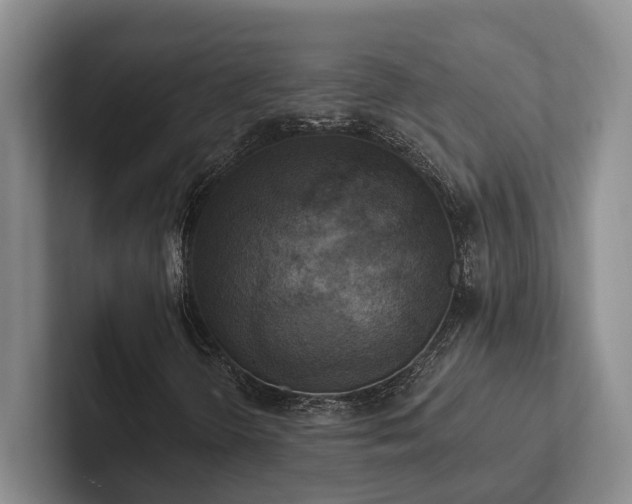 X0000102501298200808081341
