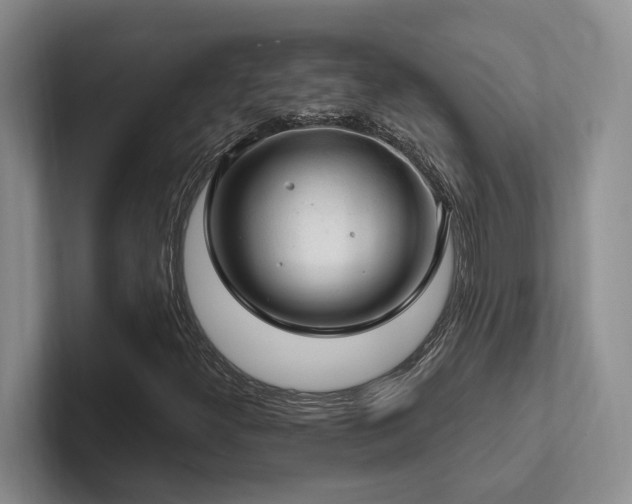 X0000102501300200808081341
