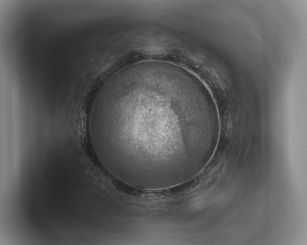 X0000102501301200808081341