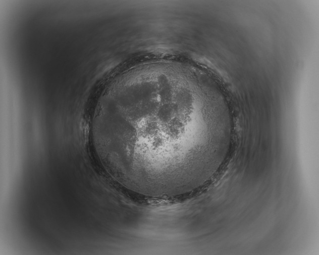 X0000102501302200808081341