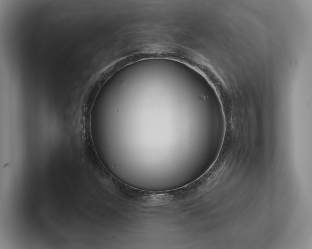 X0000102501304200808081341