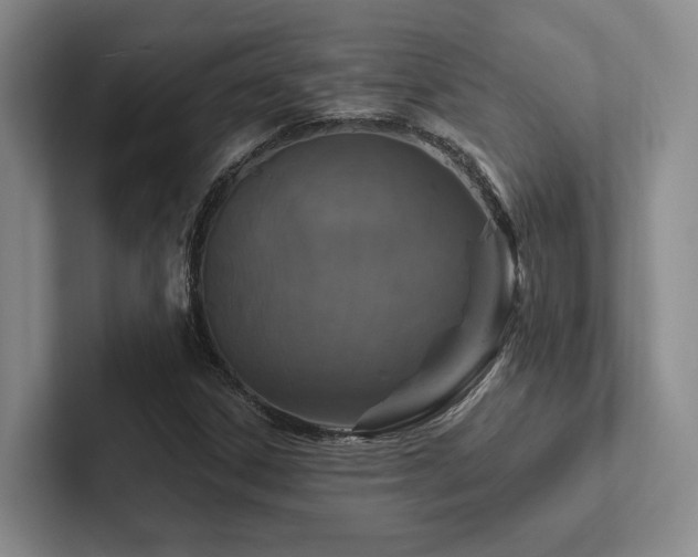 X0000102501306200808081341