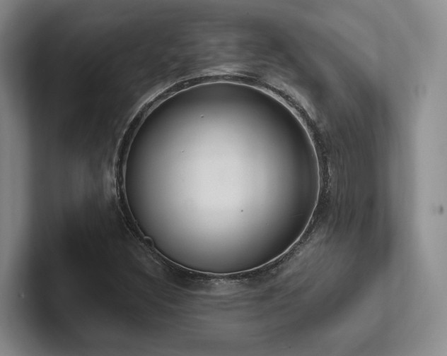 X0000102501308200808081341
