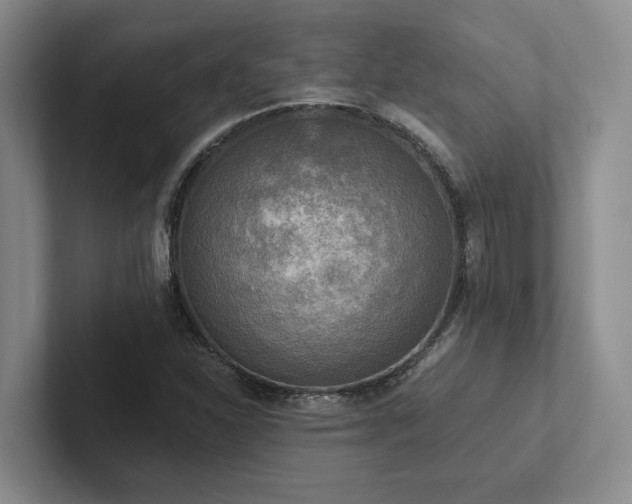 X0000102501310200808081341