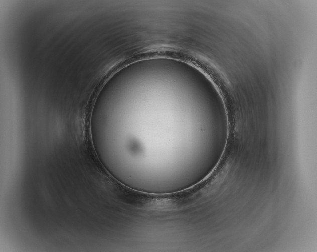 X0000102501313200808081341