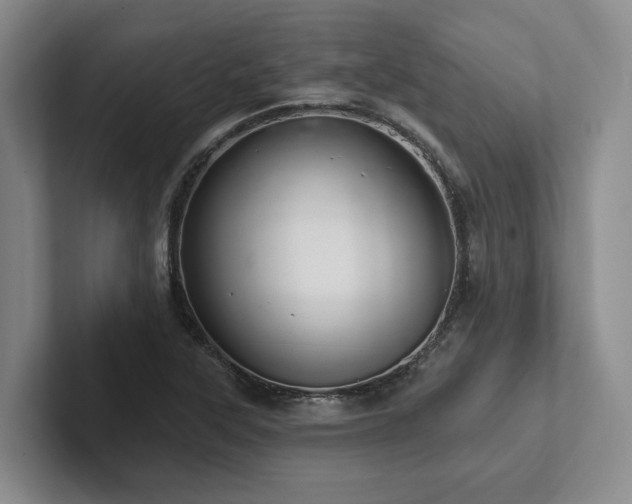 X0000102501315200808081341