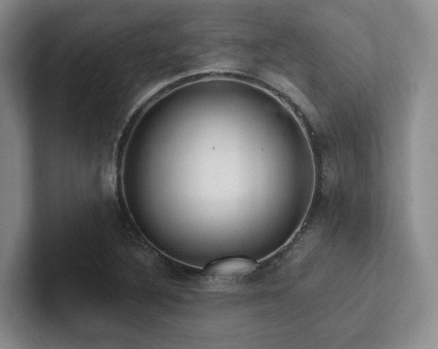 X0000102501316200808081341