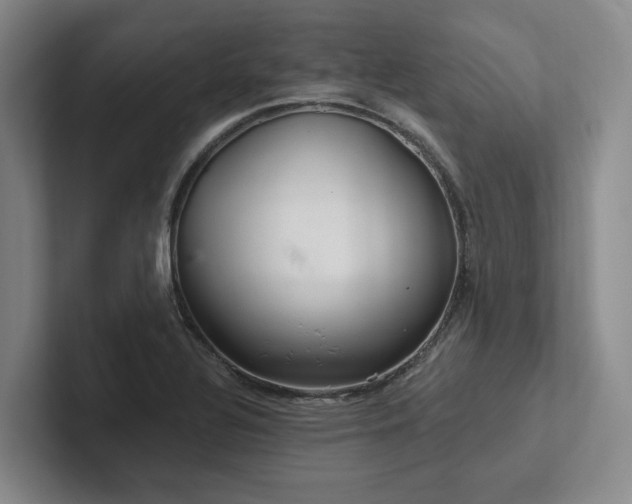 X0000102501320200808081341