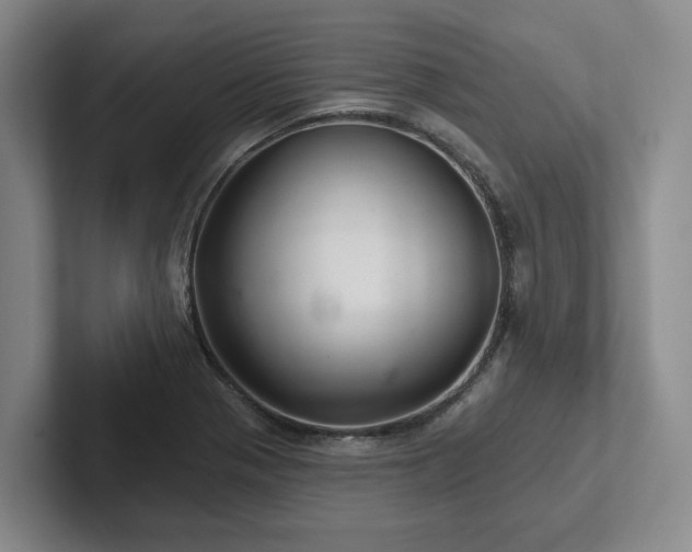 X0000102501321200808081341