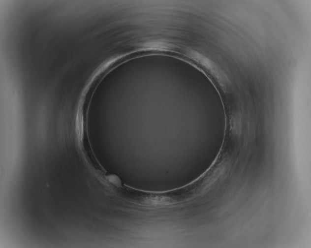 X0000102501323200808081341