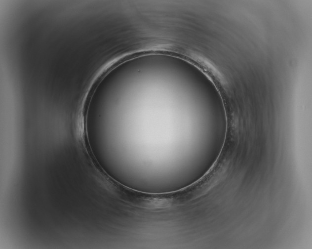 X0000102501324200808081341