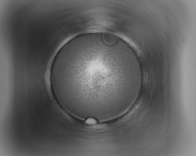 X0000102501325200808081341