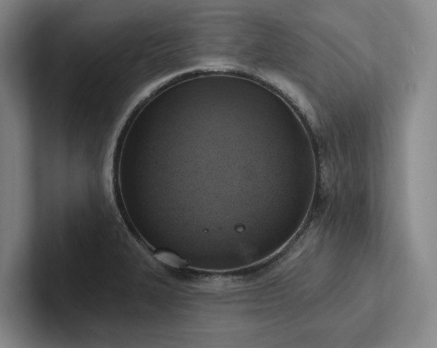 X0000102501327200808081341