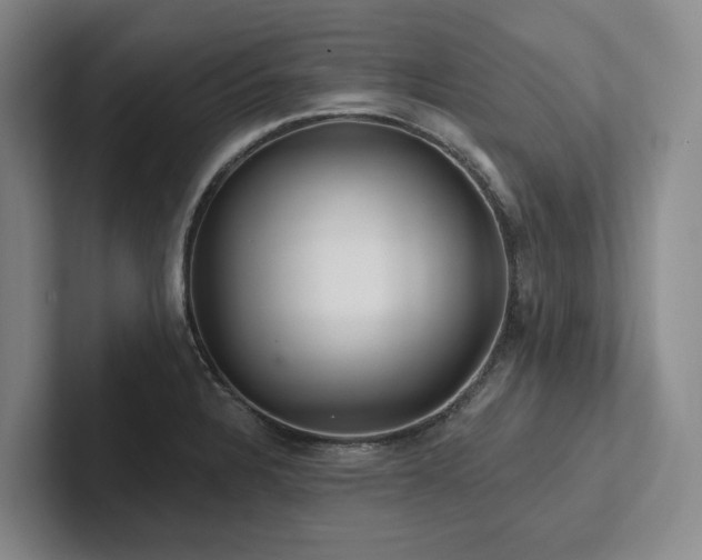 X0000102501328200808081341