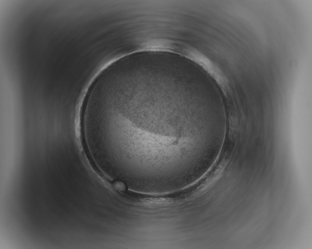 X0000102501331200808081341