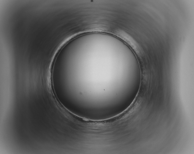 X0000102501332200808081341