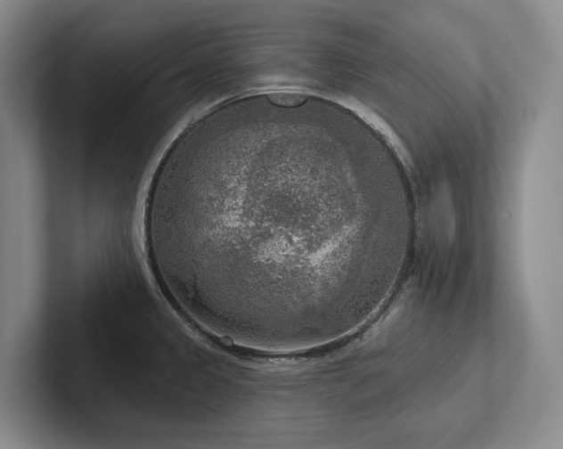 X0000102501333200808081341