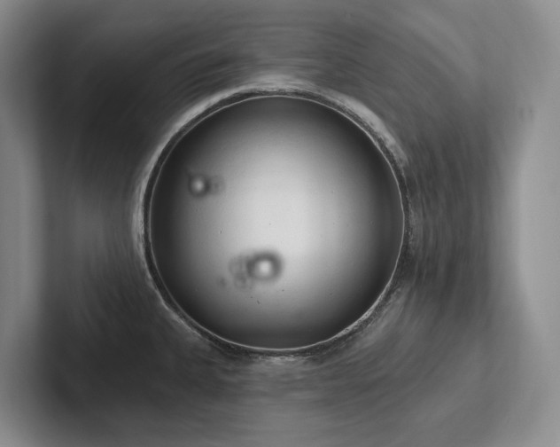 X0000102501335200808081341