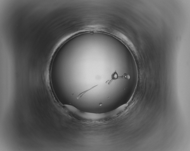 X0000102501336200808081341