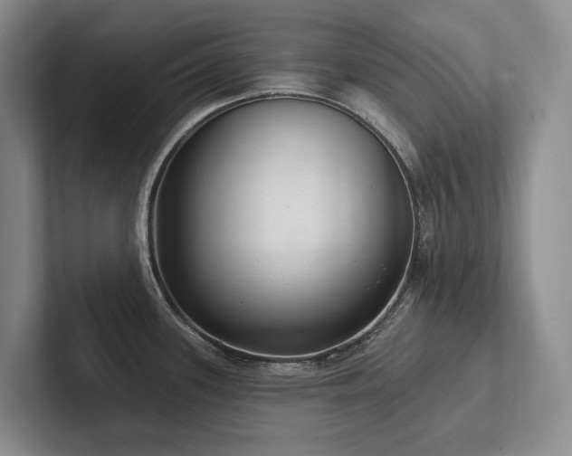 X0000102501339200808081341