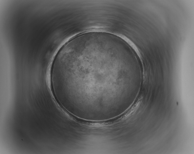 X0000102501341200808081341