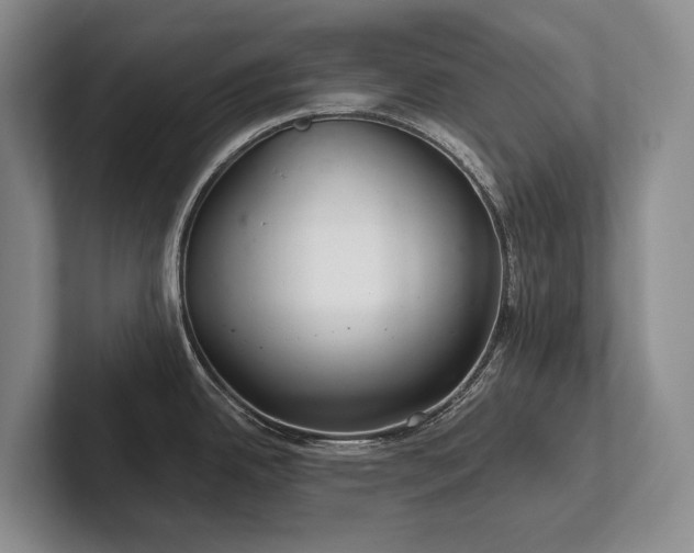 X0000102501342200808081341