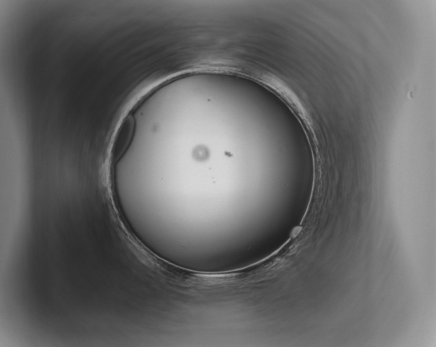X0000102501344200808081341