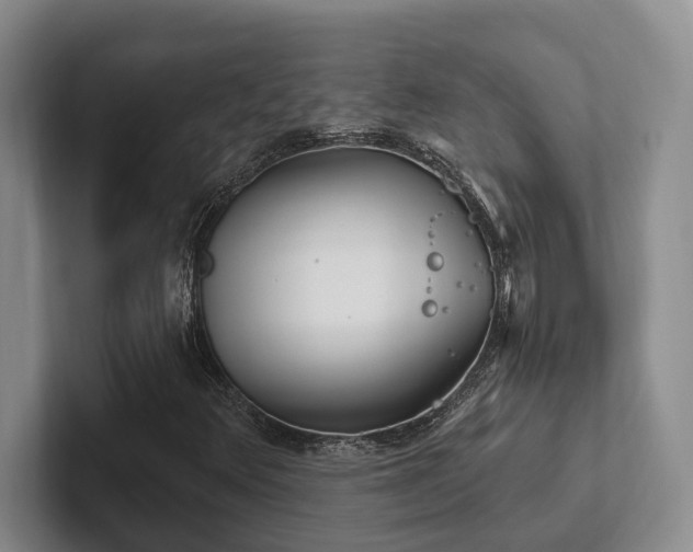 X0000102501348200808081341