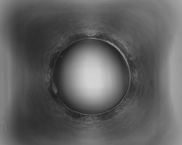 X0000102501349200808081341