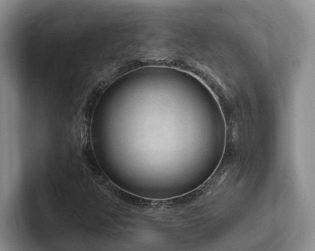 X0000102501350200808081340