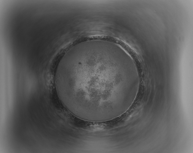 X0000102501351200808081340