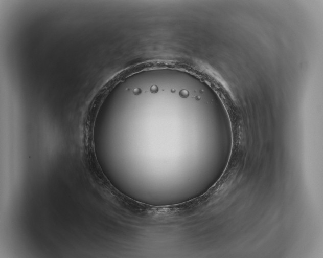 X0000102501352200808081340