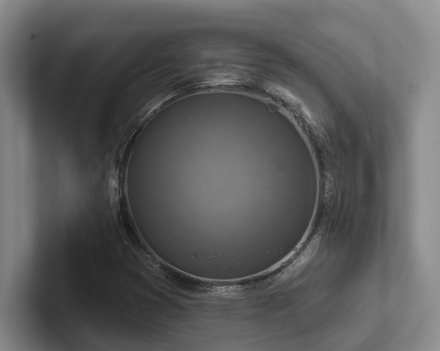 X0000102501353200808081340