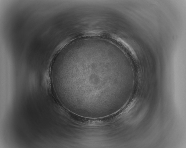 X0000102501354200808081340