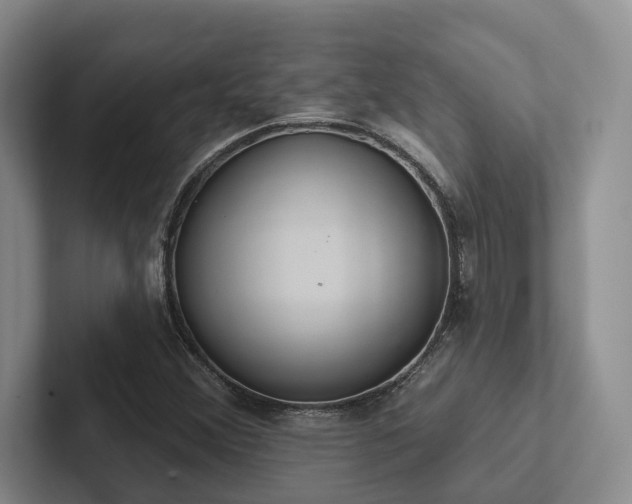 X0000102501356200808081340