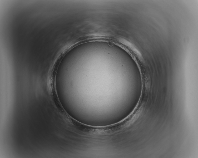 X0000102501357200808081340