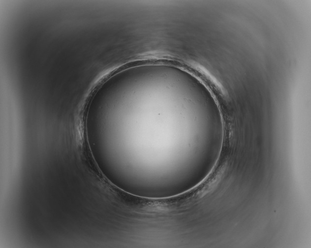 X0000102501358200808081340